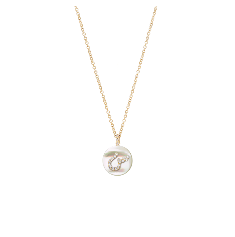Co-exist - Arabic/Persian initial on stone