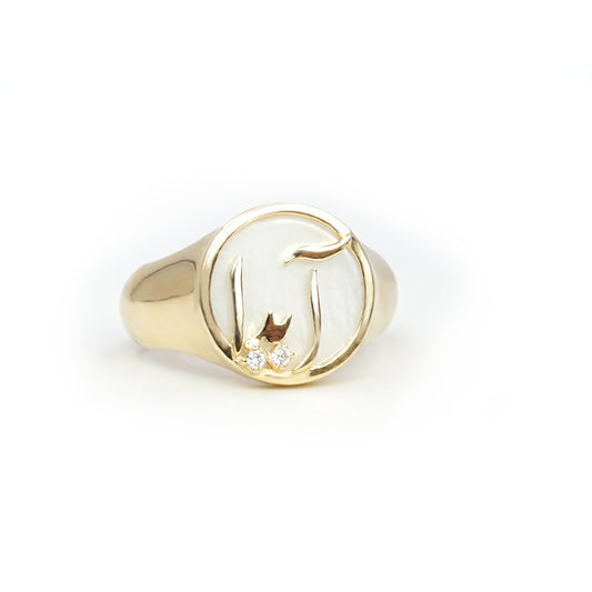 Persian - Arabic Name signet Ring