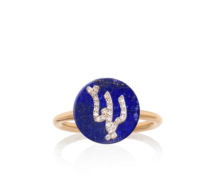 Co-exist - Arabic-Persian name Ring on stone
