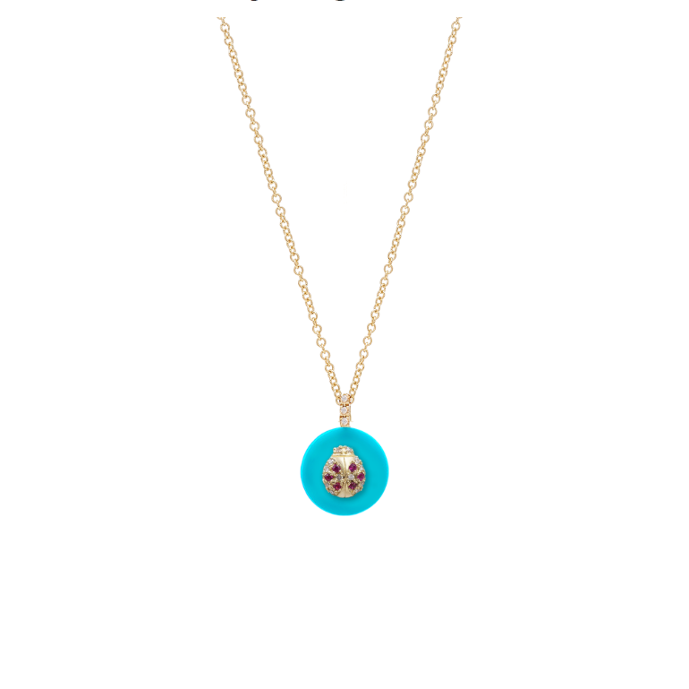 Co-exist - Lady bug Necklace on stone