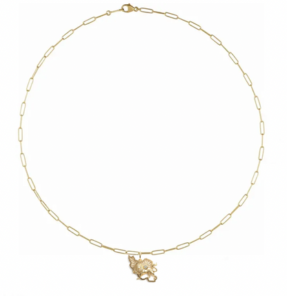 Iran Shiro Khorshid - Lion and Sun Necklace. Noush Exclusive
