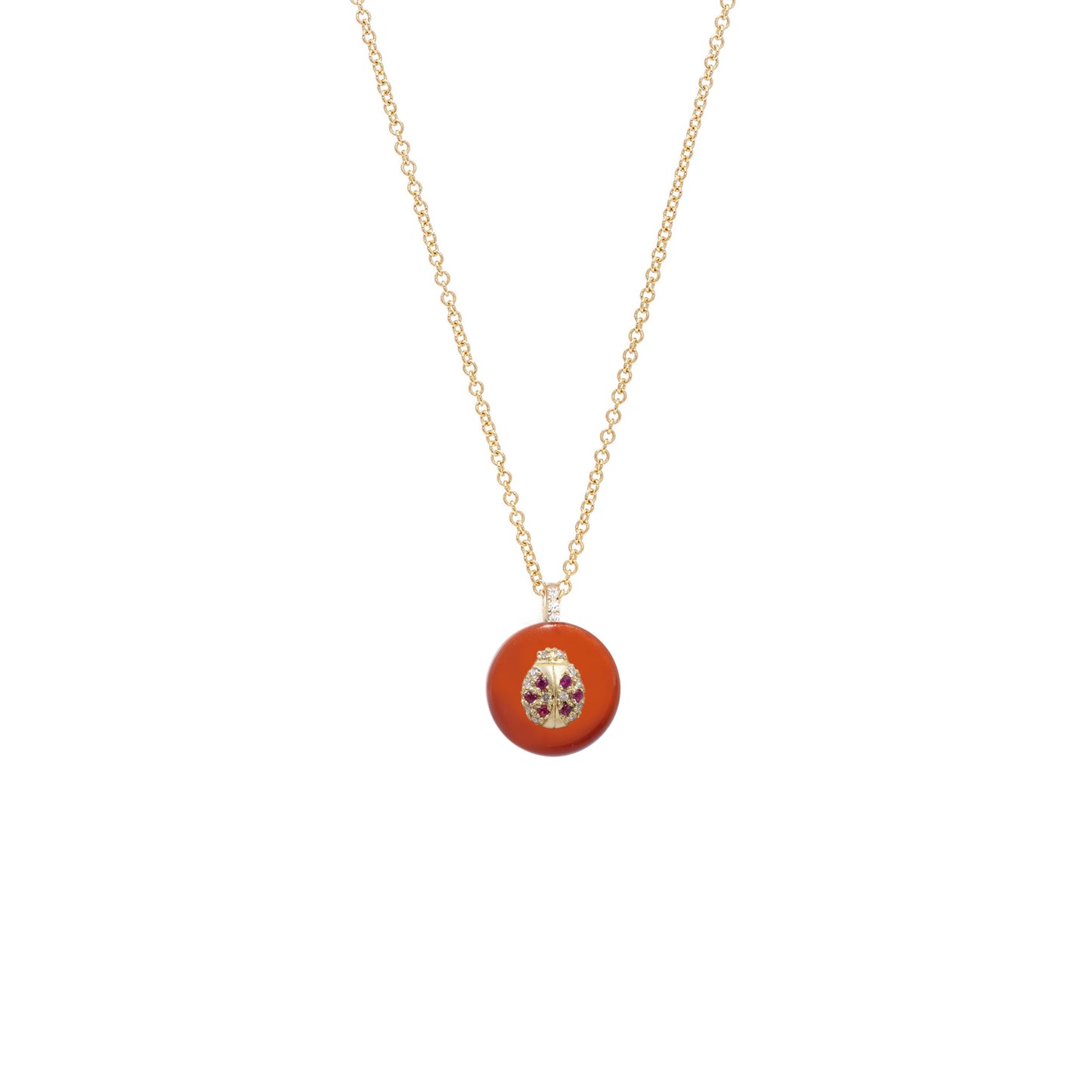 Co-exist - Lady bug Necklace on stone