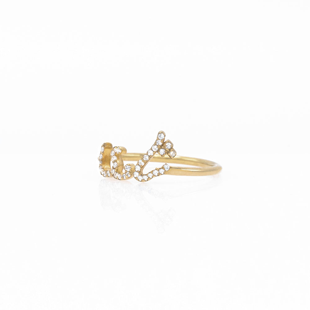 Tiny Treasures Persian Arabic Diamond Name Ring